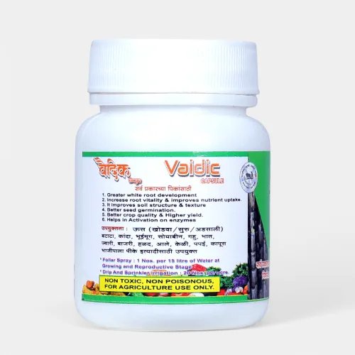 वैदिक कॅप्सूल - Image 4
