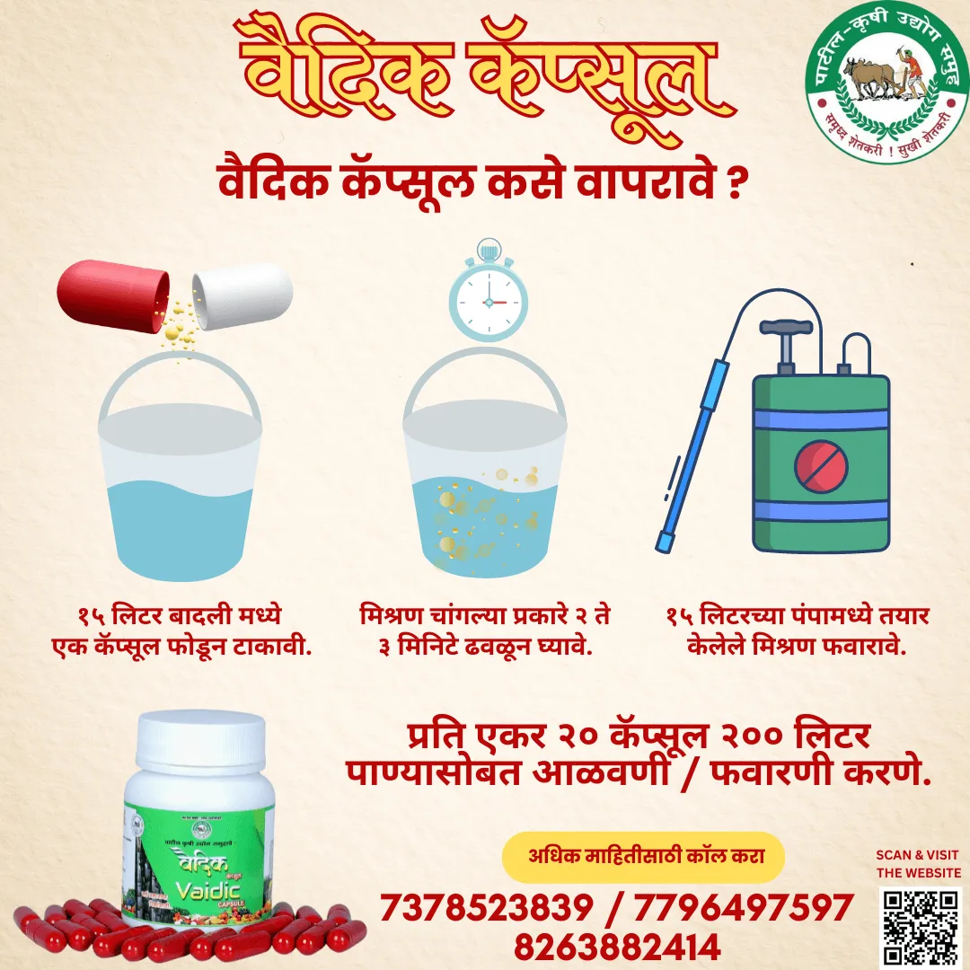 वैदिक कॅप्सूल - Image 5