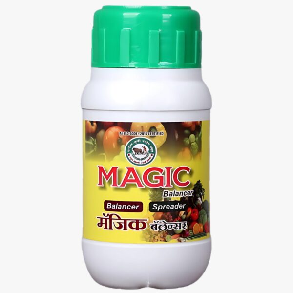 मॅजिक बॅलन्सर
