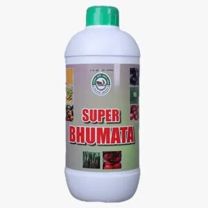 Super Bhumata